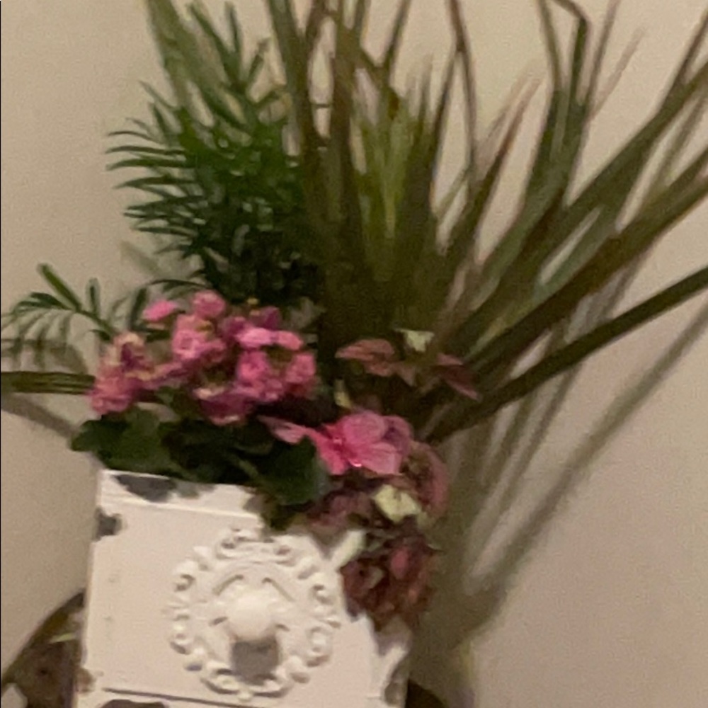 Meet your Posher, Marina